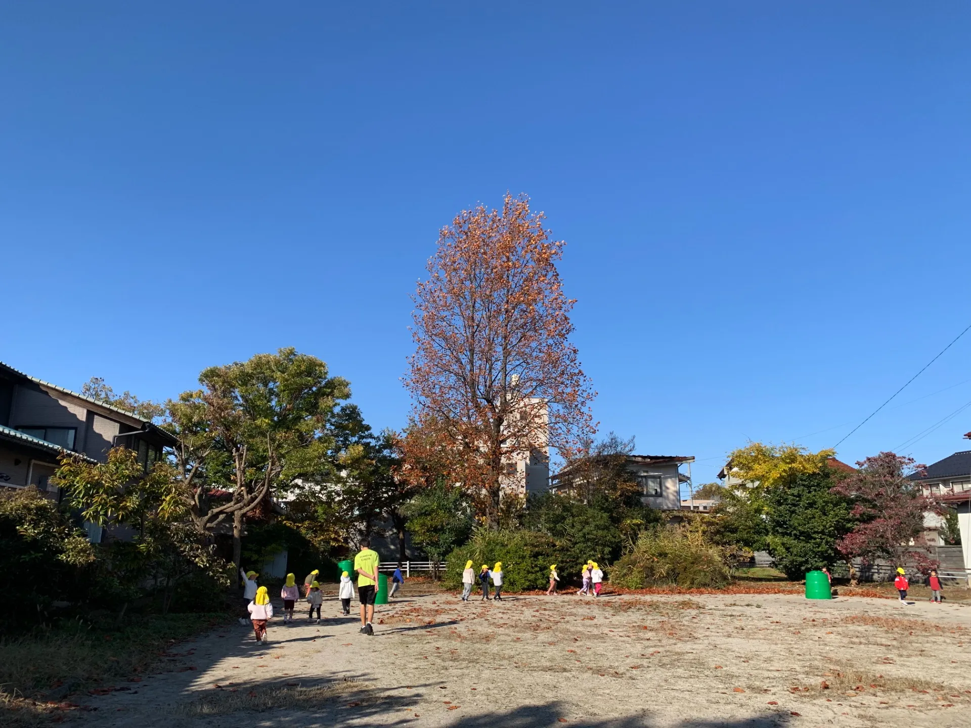 秋晴れの日に子どもと公園遊び